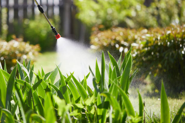 24/7 Emergency Mosquito Control experts in Poseyville, IN